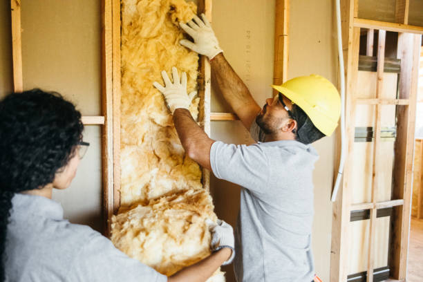 Best Insulation for New Construction  in Falls Church, VA